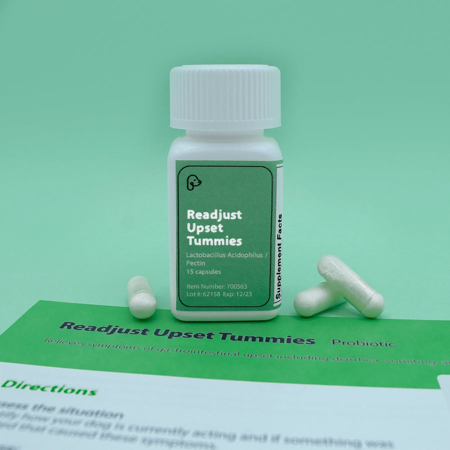 Readjust Upset Tummies is a probiotic that can help your dog's GI get back on track, reducing dog vomiting, diarrhea, and decreased appetite