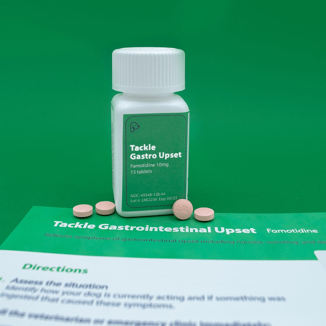 If your dog is eating grass, throwing up yellow or white foam, or is generally exhibiting signs of an upset stomach, treat it fast with Tackle Gastro Upset from The Uh-Oh Kit.