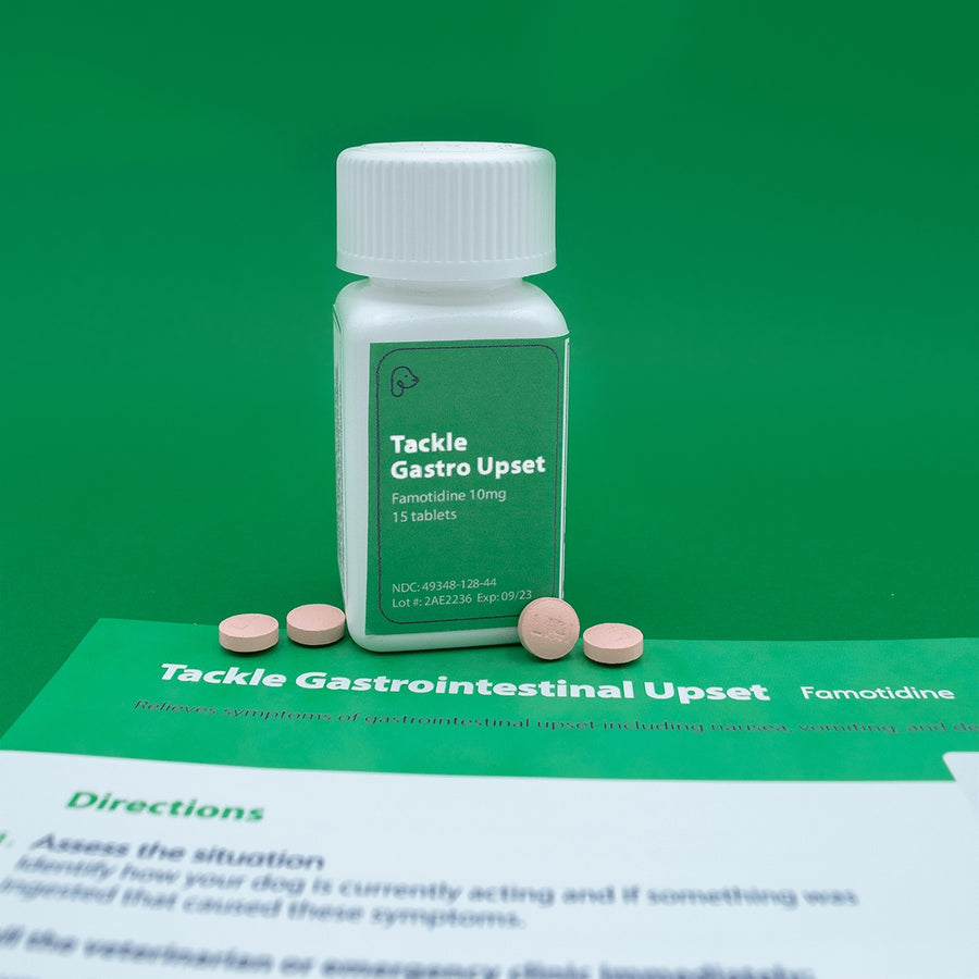 If your dog is eating grass, throwing up yellow or white foam, or is generally exhibiting signs of an upset stomach, treat it fast with Tackle Gastro Upset from The Uh-Oh Kit.