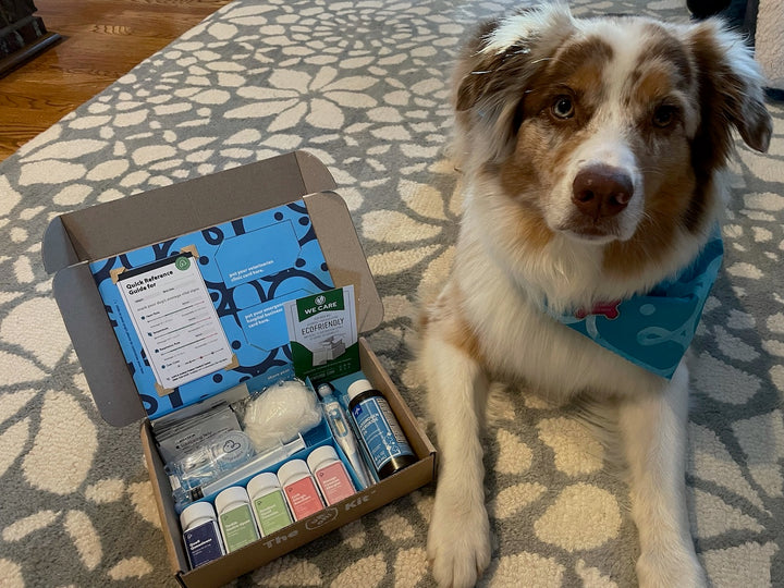 Aussie Royce hopes to never need her Uh-Oh Kit, but she's ready for any allergy or tummy troubles that come her way.