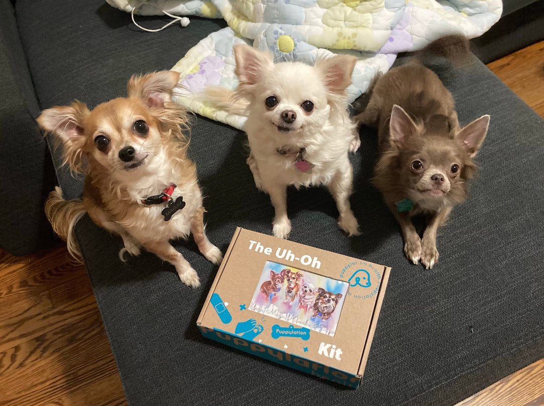 One Uh-Oh Kit can be used for all of the dogs in your family. Big or small, single or a pack, we have your petastrophies covered.