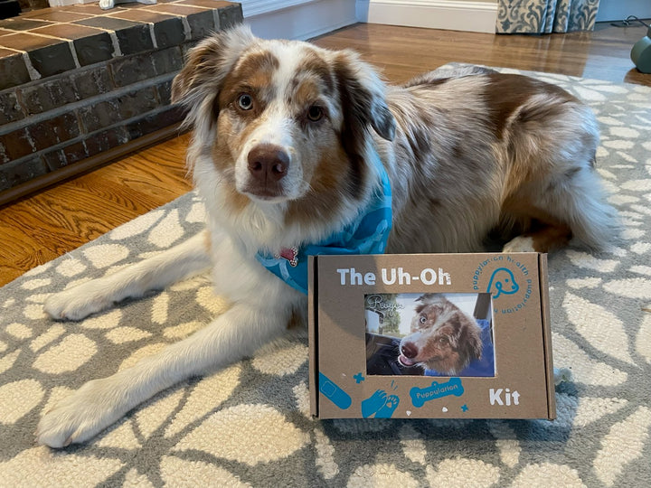 Aussie Royce hopes to never need her Uh-Oh Kit, but she's ready for any allergy or tummy troubles that come her way.