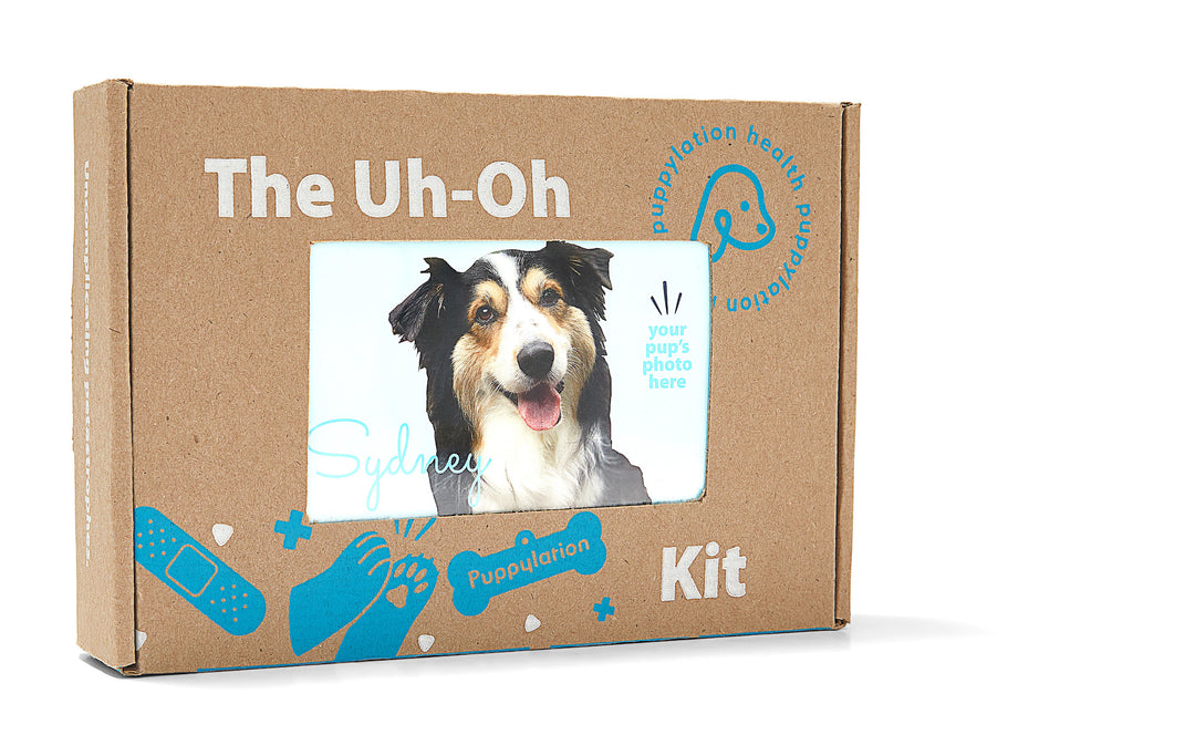 The Uh-Oh Kit, Puppylation Health's canine preparedness kit, is packed with essentials like over-the-counter meds and clear instructions to guide you through your everyday pup pickles!