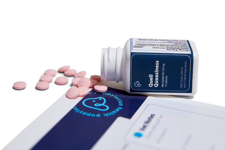 Dogs experience nausea, vomiting and motion sickness. Veterinary-approved Quell Queasiness is great for curbing car sickness in dogs and preventing a dog from throwing up.