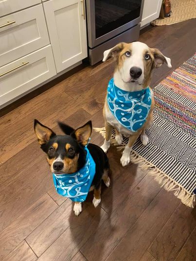 Handsome fellas Cash and Finn are living their best life in Puppylation Health swag