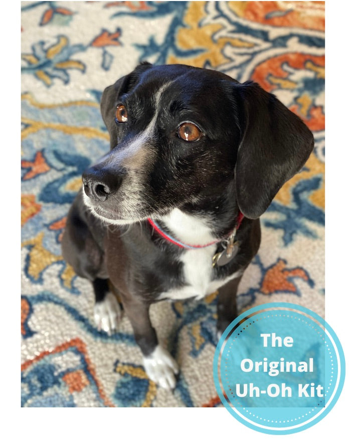 Dogs are curious, and Kit — a 25lbs beagle mix — is a testament to their resiliency. Her nose for adventure and trouble made her the namesake for The Uh-Oh Kit by Puppylation Health. Be prepared for whatever your dog discovers with The Uh-Oh Kit.