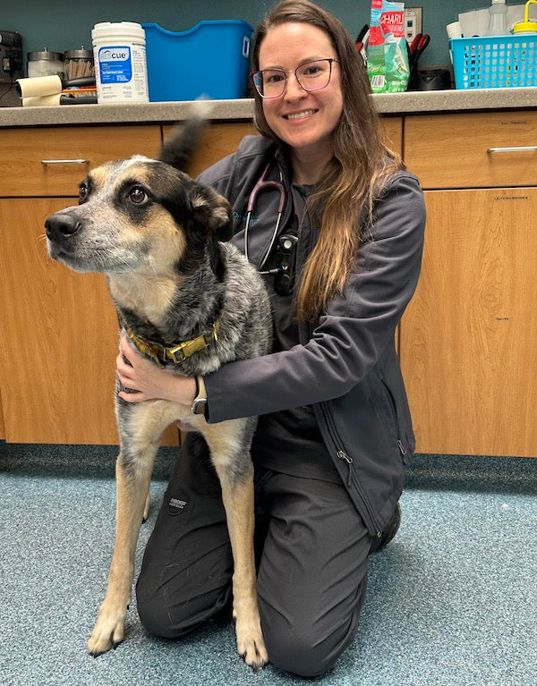 Emergency veterinarian Nicolette Meredith has been making a difference in the lives of pets and their parents for almost a decade. She loves her clients and her furry companion, Finn.