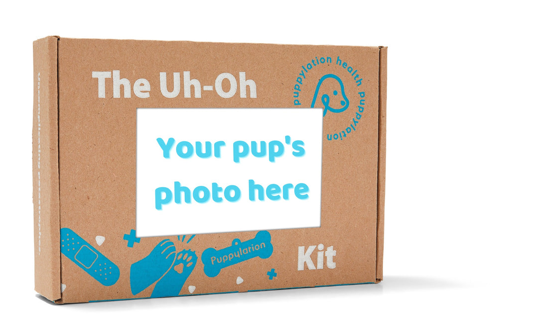The Uh-Oh Kit can be customized to your dog. Just slide in their photo or have us do it for you, and everyone will know where to go when your dog gets into trouble.