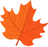 orange maple leaf