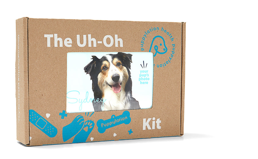 The Uh-Oh Kit, Puppylation Health's canine preparedness kit, is packed with essentials like over-the-counter meds and clear instructions to guide you through your everyday pup pickles!